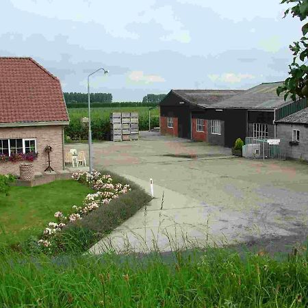 Voormalig Strandhuisje In Boomgaard In Hengstdijk Villa Eksteriør bilde