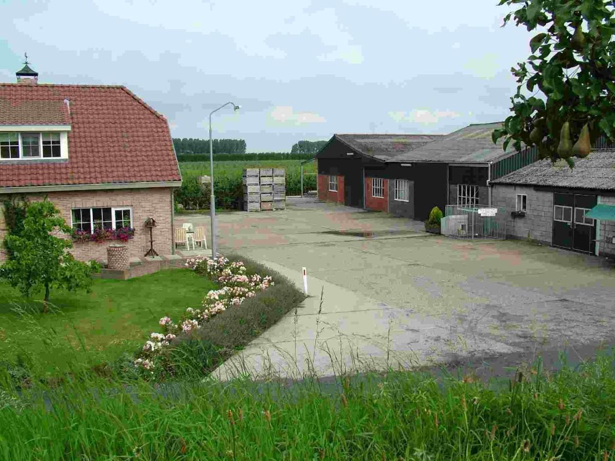 Voormalig Strandhuisje In Boomgaard In Hengstdijk Villa Eksteriør bilde